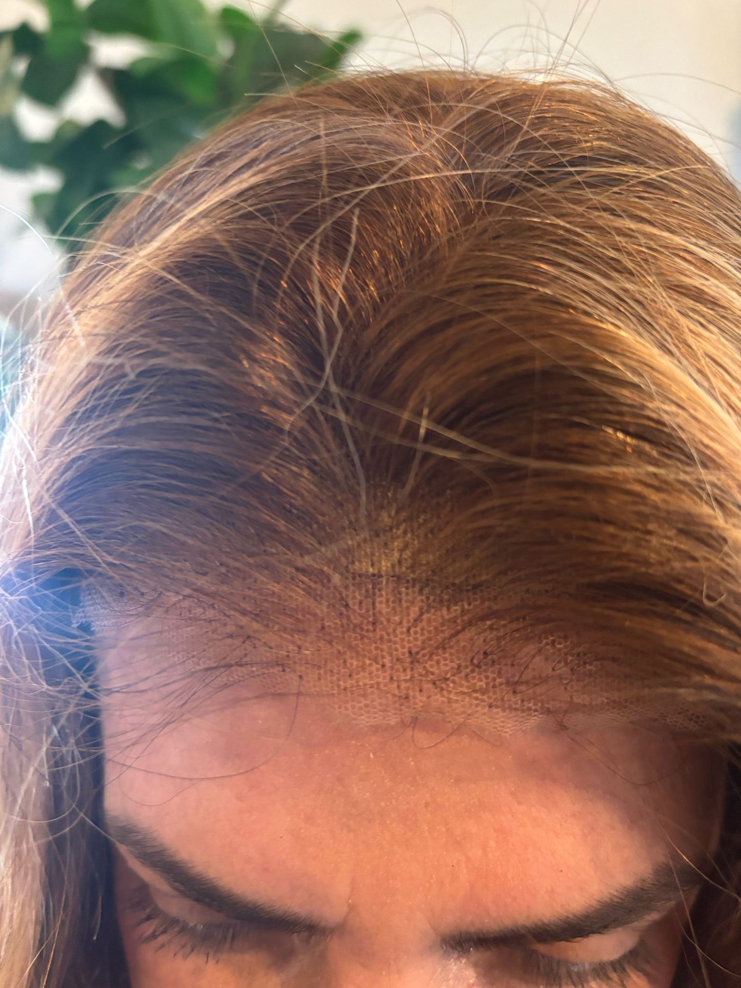 wig Renata, Ombre Highlight Human Hair Pre Plucked